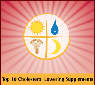 Top 10 Cholesterol Lowering Supplements