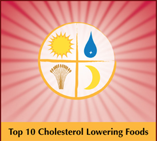 Top 10 Cholesterol Lowering Foods